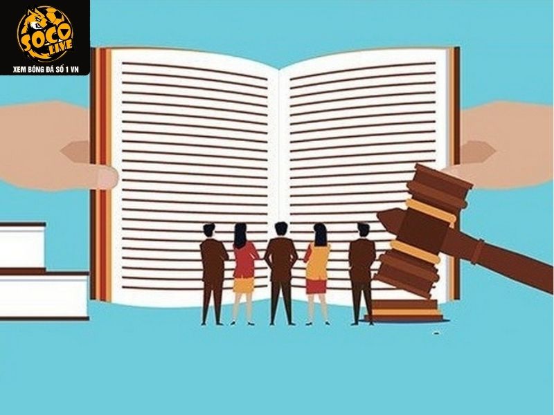 Quy định về khiếu nại và hỗ trợ người dùng