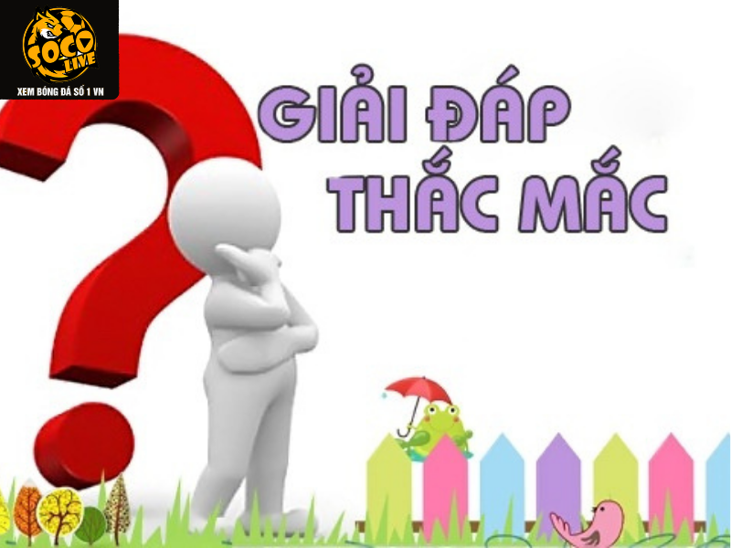 Trang giải đáp thắc mắc hỗ trợ người dùng