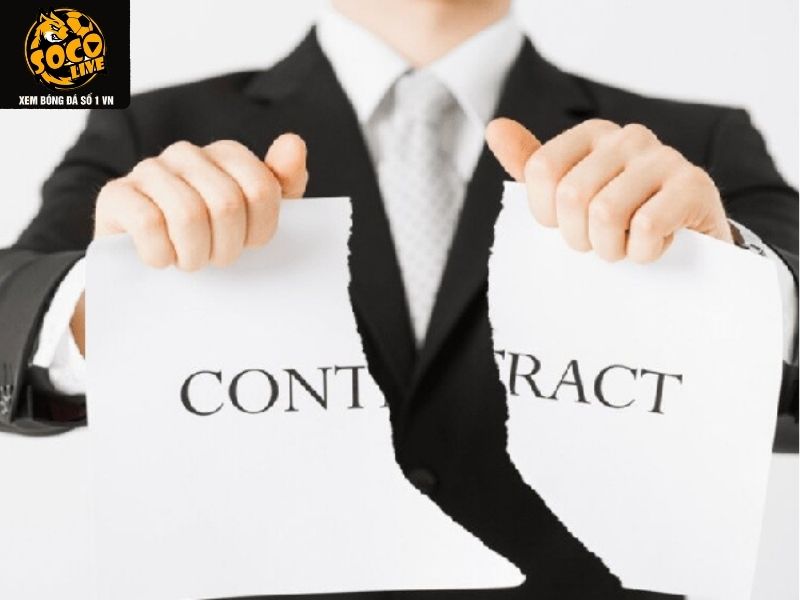 Phạm vi áp dụng các quy định miễn trừ trách nhiệm