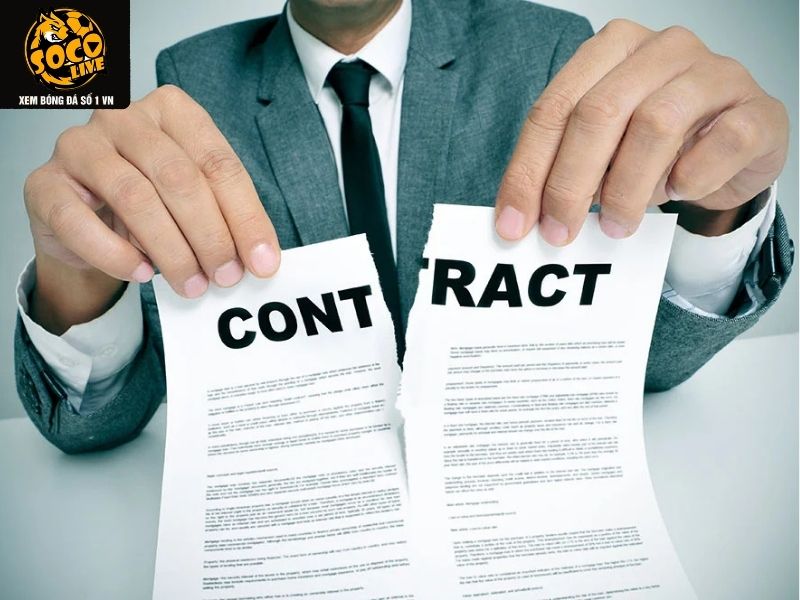 Miễn trách nhiệm về quan hệ pháp lý và tài chính Socolive