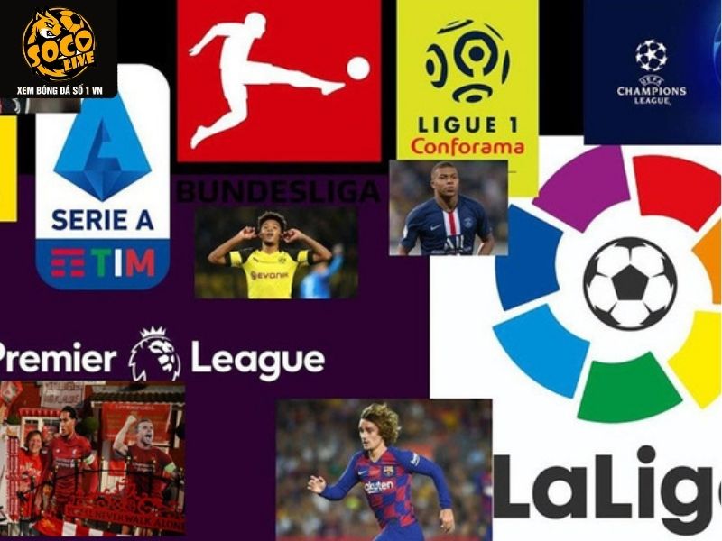 Socolive cung cấp cho người xem hàng ngàn giải đấu hấp dẫn khác nhau